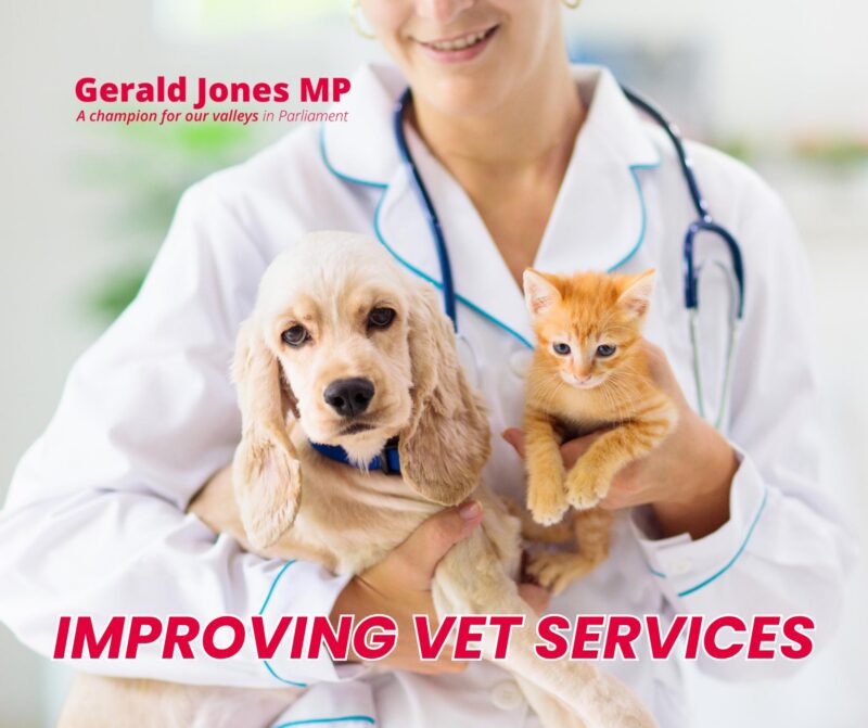 Image of a vet with a cat and dog and text.