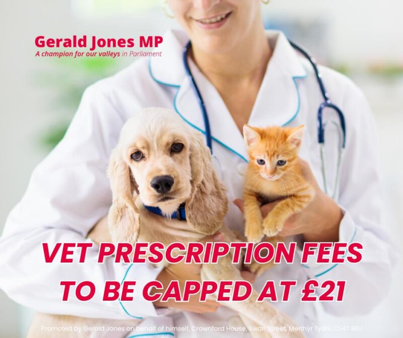 Image of a vet with a dog and cat.