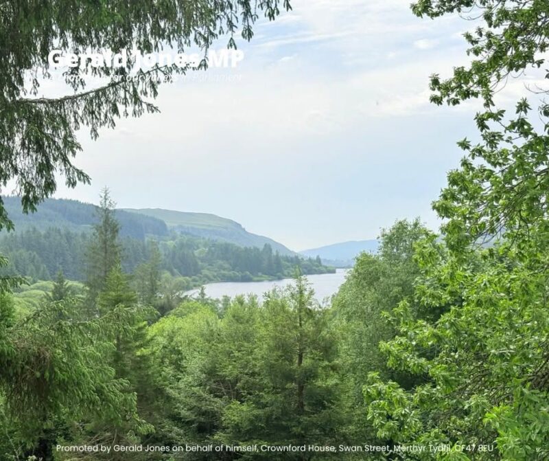Image of the Bannau Brycheiniog National Park.